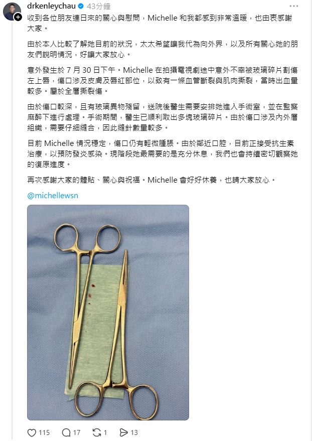 丈夫周祉安曾向傳媒還原衛詩雅受傷的經過及傷勢。